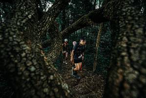 BIB: 
                            <button type="button" onclick="openModal(25685027)" class="btn btn-primary btn-sm float-right btn-popup" data-toggle="modal" data-target=".modal-high-quality">
                        <i class="fas fa-shopping-cart"></i> Add to Cart
                    </button>
                                            <button type="button" onclick="isThisMe(25685027, true)" class="btn btn-success btn-sm float-right btn-popup btn-isme hidden" data-toggle="tooltip" data-placement="bottom" title="นี่คือรูปของคุณใช่ไหม คลิกที่นี่เพื่อเอาเข้าอัลบั้ม">
                        <i class="fas fa-plus"></i> Add to album
                    </button>
                    <button type="button" onclick="isThisMe(25685027, false)" class="btn btn-warning btn-sm float-right btn-popup btn-isnotme hidden">
                        <i class="fas fa-ban"></i> Remove from album
                    </button>